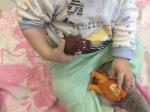Журнал с игрушками "Животные дикой природы" - издательский дом DeAgostini фото